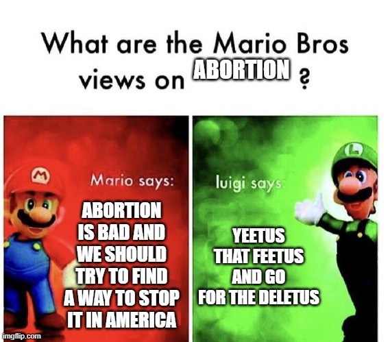 yeet | ABORTION; ABORTION IS BAD AND WE SHOULD TRY TO FIND A WAY TO STOP IT IN AMERICA; YEETUS THAT FEETUS AND GO FOR THE DELETUS | image tagged in mario bros views | made w/ Imgflip meme maker