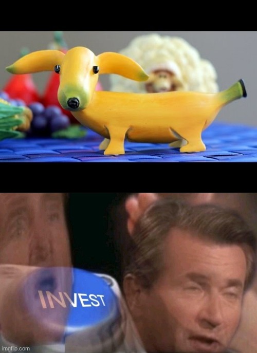 banana dog | image tagged in invest,memes | made w/ Imgflip meme maker