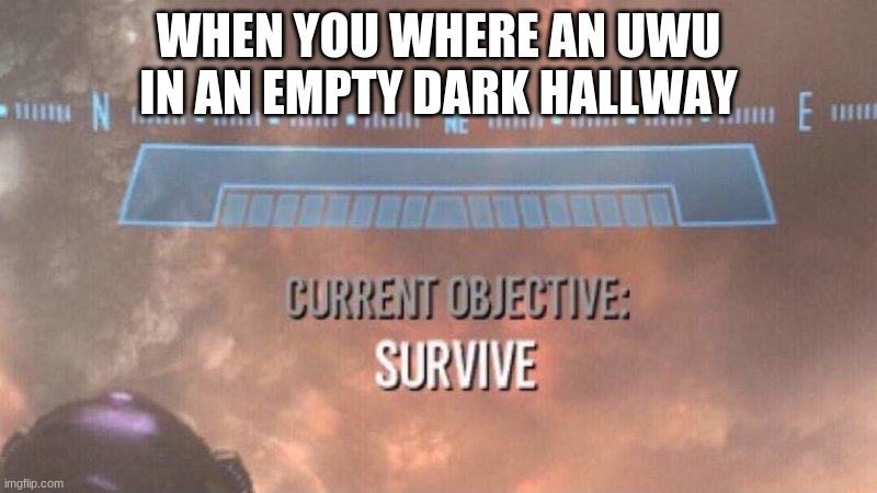 Current Objective: Survive | WHEN YOU WHERE AN UWU IN AN EMPTY DARK HALLWAY | image tagged in current objective survive | made w/ Imgflip meme maker