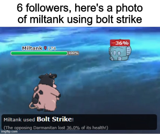 6 followerz | 6 followers, here's a photo of miltank using bolt strike | image tagged in pokemon | made w/ Imgflip meme maker