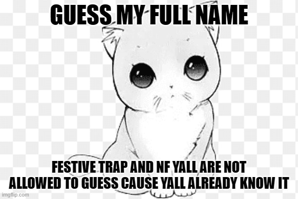 guess my full name! | GUESS MY FULL NAME; FESTIVE TRAP AND NF YALL ARE NOT ALLOWED TO GUESS CAUSE YALL ALREADY KNOW IT | image tagged in kawaii cat 2,guess,name,trends,boredom,idk | made w/ Imgflip meme maker