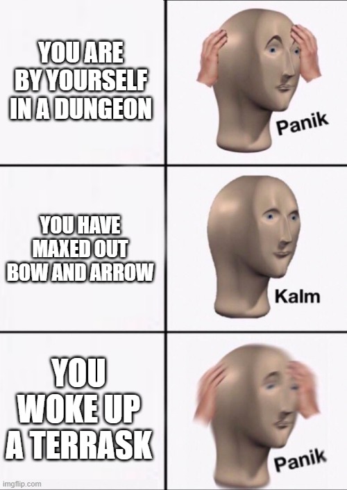 OOOOOOOOOOOOOOOOOF | YOU ARE BY YOURSELF IN A DUNGEON; YOU HAVE MAXED OUT BOW AND ARROW; YOU WOKE UP A TERRASK | image tagged in stonks panic calm panic | made w/ Imgflip meme maker