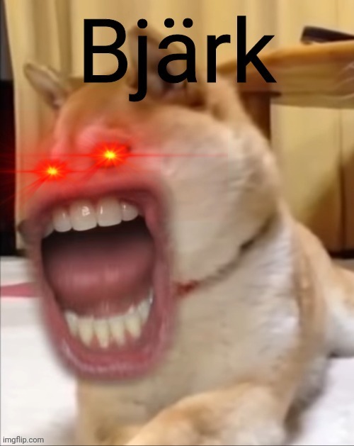 Bjärk. | image tagged in doge,dog,your nightmare morning,bark bark bark bark bark bark bark bark bark bark,oh wow are you actually reading these tags | made w/ Imgflip meme maker