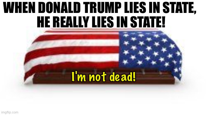 A few years from now, denial to the end | WHEN DONALD TRUMP LIES IN STATE, 
HE REALLY LIES IN STATE! I'm not dead! | image tagged in trump | made w/ Imgflip meme maker
