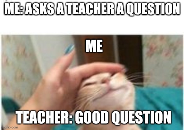 When the teacher says your question was good | ME: ASKS A TEACHER A QUESTION; ME; TEACHER: GOOD QUESTION | image tagged in funny,cat,proud | made w/ Imgflip meme maker