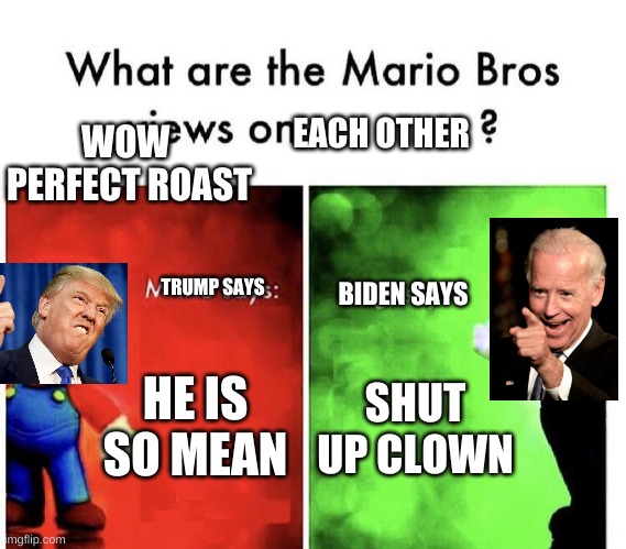 Mario Bros Views | EACH OTHER; WOW 
PERFECT ROAST; TRUMP SAYS; BIDEN SAYS; HE IS SO MEAN; SHUT UP CLOWN | image tagged in mario bros views | made w/ Imgflip meme maker