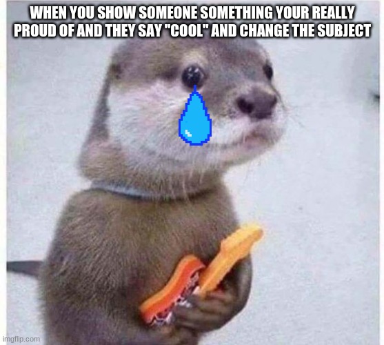 When you dont feel like nobody cares about your objects | WHEN YOU SHOW SOMEONE SOMETHING YOUR REALLY PROUD OF AND THEY SAY "COOL" AND CHANGE THE SUBJECT | image tagged in funny,sad,otter,wow,bully,proud | made w/ Imgflip meme maker