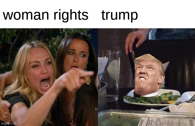 Woman Yelling At Cat | woman rights; trump | image tagged in memes,woman yelling at cat | made w/ Imgflip meme maker