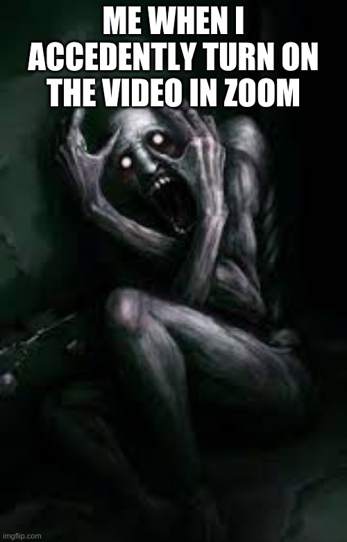 me in irl | ME WHEN I ACCEDENTLY TURN ON THE VIDEO IN ZOOM | image tagged in scp 096 covering face | made w/ Imgflip meme maker
