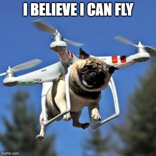 Flying Pug |  I BELIEVE I CAN FLY | image tagged in flying pug | made w/ Imgflip meme maker