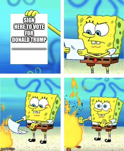 Frik the election | SIGN HERE TO VOTE FOR DONALD TRUMP
___________ | image tagged in spongebob burning paper | made w/ Imgflip meme maker