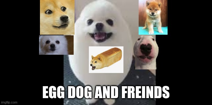 somebody make this a movie | EGG DOG AND FREINDS | image tagged in funny memes | made w/ Imgflip meme maker