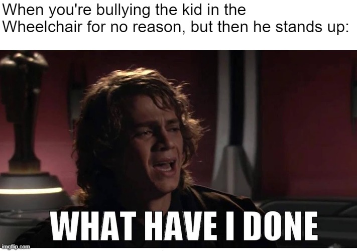 Anakin what have i done | When you're bullying the kid in the Wheelchair for no reason, but then he stands up: | image tagged in anakin what have i done,school,memes,wheelchair,bullying,reason | made w/ Imgflip meme maker