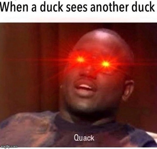 Q U A C K | image tagged in duck-gang | made w/ Imgflip meme maker