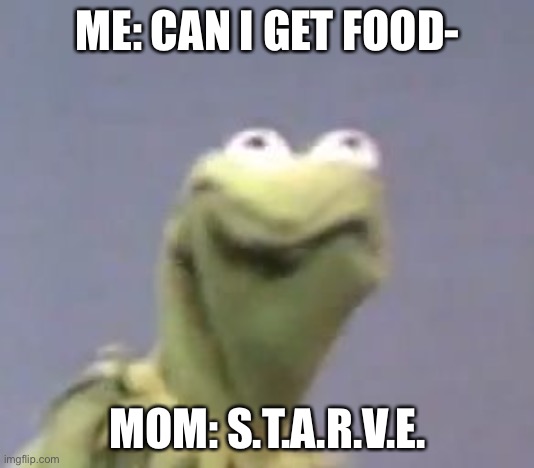 kermit the from ded | ME: CAN I GET FOOD-; MOM: S.T.A.R.V.E. | image tagged in kermit the from ded | made w/ Imgflip meme maker