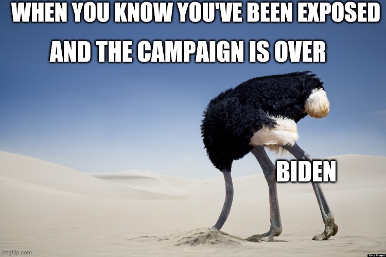 Hidin' biden | WHEN YOU KNOW YOU'VE BEEN EXPOSED; AND THE CAMPAIGN IS OVER; BIDEN | image tagged in ostrich head in sand | made w/ Imgflip meme maker
