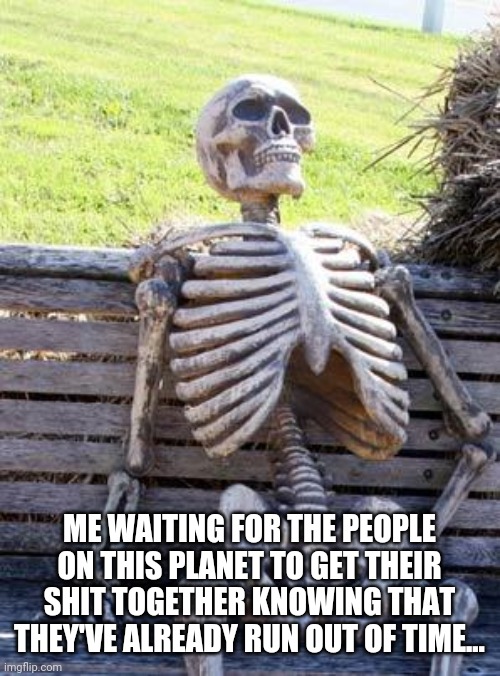 Waiting Skeleton | ME WAITING FOR THE PEOPLE ON THIS PLANET TO GET THEIR SHIT TOGETHER KNOWING THAT THEY'VE ALREADY RUN OUT OF TIME... | image tagged in memes,waiting skeleton | made w/ Imgflip meme maker