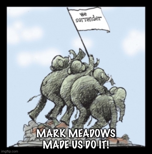 Surrender to Covid | MARK MEADOWS MADE US DO IT! | image tagged in elephants surrender | made w/ Imgflip meme maker