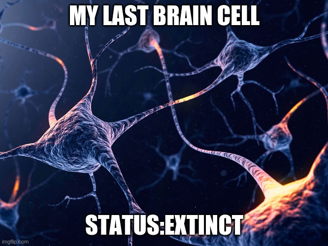Extinct | MY LAST BRAIN CELL; STATUS:EXTINCT | image tagged in oh my god | made w/ Imgflip meme maker