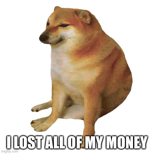 cheems | I LOST ALL OF MY MONEY | image tagged in cheems | made w/ Imgflip meme maker