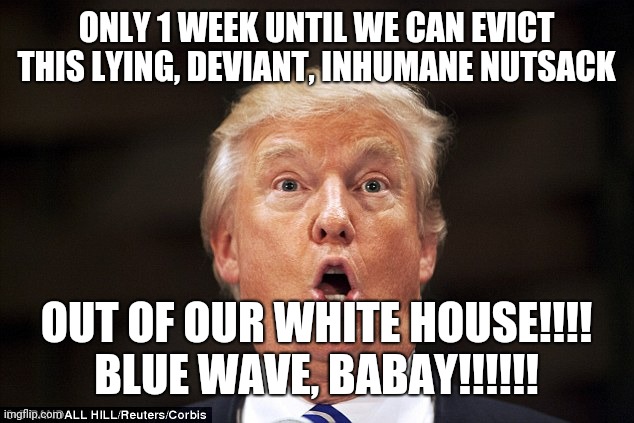 Nutsack | ONLY 1 WEEK UNTIL WE CAN EVICT THIS LYING, DEVIANT, INHUMANE NUTSACK; OUT OF OUR WHITE HOUSE!!!!
BLUE WAVE, BABAY!!!!!! | image tagged in trump stupid face,donald trump,dump trump | made w/ Imgflip meme maker