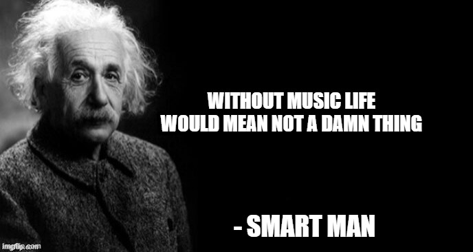 Music | WITHOUT MUSIC LIFE WOULD MEAN NOT A DAMN THING; - SMART MAN | image tagged in music | made w/ Imgflip meme maker