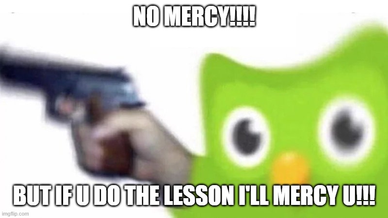 duolingo gun | NO MERCY!!!! BUT IF U DO THE LESSON I'LL MERCY U!!! | image tagged in duolingo gun | made w/ Imgflip meme maker