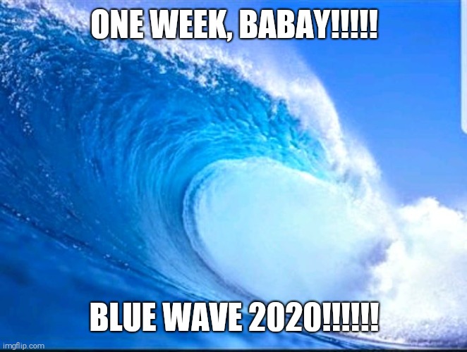 One week babay!!!!!! | ONE WEEK, BABAY!!!!! BLUE WAVE 2020!!!!!! | image tagged in blue wave,dumptrump,nevertrump | made w/ Imgflip meme maker