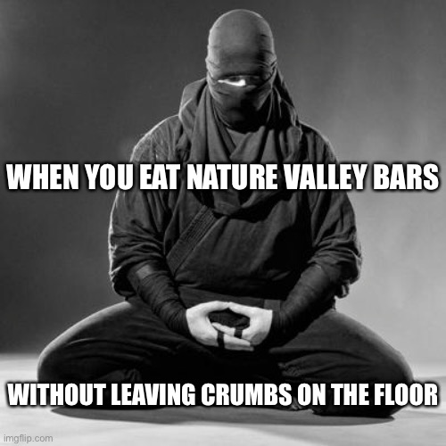 You must be a ninja | WHEN YOU EAT NATURE VALLEY BARS; WITHOUT LEAVING CRUMBS ON THE FLOOR | image tagged in ninja zen,ninja,funny,nature valley,bread crumbs | made w/ Imgflip meme maker