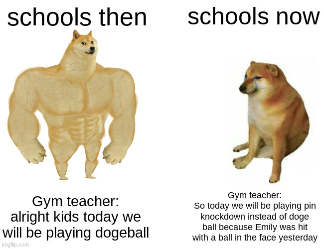 Buff Doge vs. Cheems | schools then; schools now; Gym teacher:
alright kids today we will be playing dogeball; Gym teacher:
So today we will be playing pin knockdown instead of doge ball because Emily was hit with a ball in the face yesterday | image tagged in memes,buff doge vs cheems | made w/ Imgflip meme maker