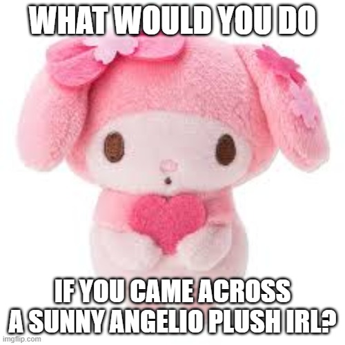 As Danny wishes, we'll make this a trend | WHAT WOULD YOU DO; IF YOU CAME ACROSS A SUNNY ANGELIO PLUSH IRL? | image tagged in plushie | made w/ Imgflip meme maker