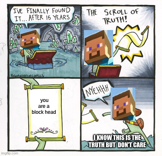 block head | you are a  block head; I KNOW THIS IS THE TRUTH BUT  DON'T CARE | image tagged in memes,the scroll of truth | made w/ Imgflip meme maker