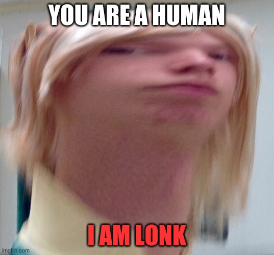 Lonk | YOU ARE A HUMAN; I AM LONK | image tagged in lonk | made w/ Imgflip meme maker