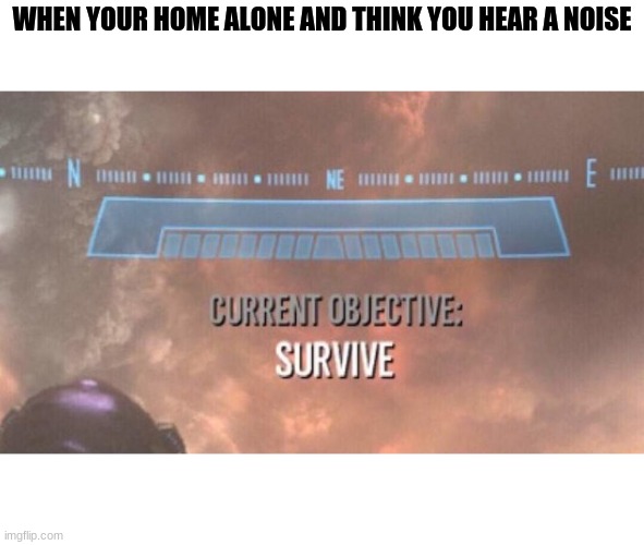 Current Objective: Survive | WHEN YOUR HOME ALONE AND THINK YOU HEAR A NOISE | image tagged in current objective survive | made w/ Imgflip meme maker