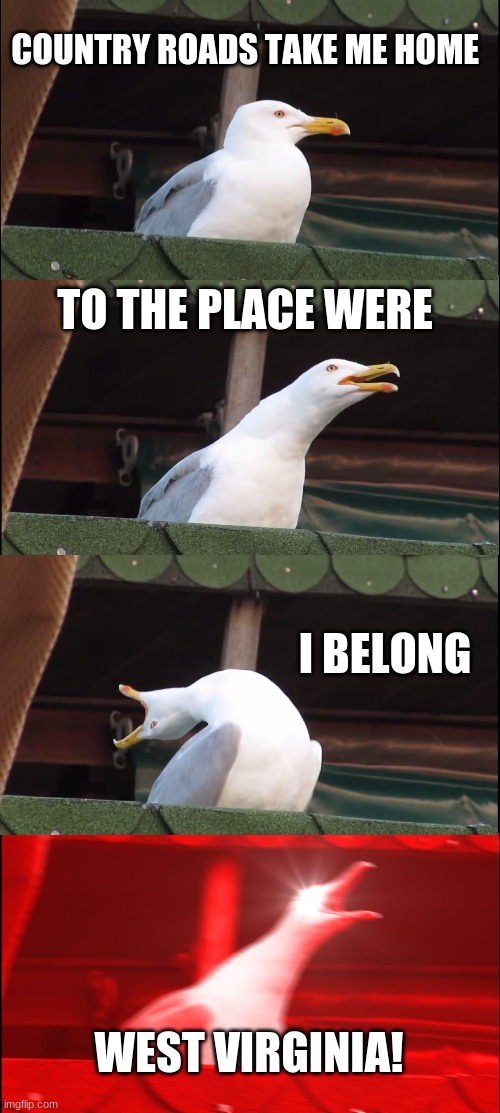 Inhaling Seagull Meme | COUNTRY ROADS TAKE ME HOME; TO THE PLACE WERE; I BELONG; WEST VIRGINIA! | image tagged in memes,inhaling seagull | made w/ Imgflip meme maker