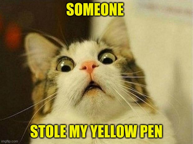 e some a body toucha my yellow pen | SOMEONE; STOLE MY YELLOW PEN | image tagged in memes,scared cat | made w/ Imgflip meme maker