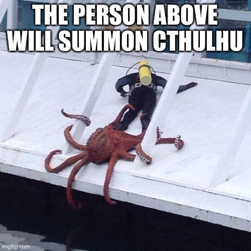 L | THE PERSON ABOVE WILL SUMMON CTHULHU | image tagged in octopus | made w/ Imgflip meme maker