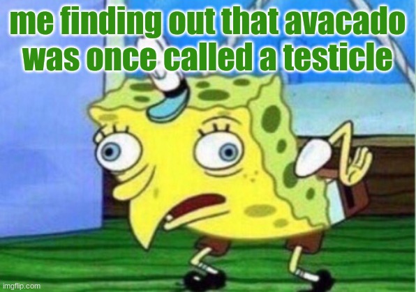 Mocking Spongebob | me finding out that avacado was once called a testicle | image tagged in memes,mocking spongebob | made w/ Imgflip meme maker