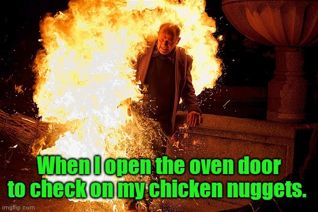 The said spicy, but damn. | When I open the oven door to check on my chicken nuggets. | image tagged in guy on fire,useovenmits,sortoffunny | made w/ Imgflip meme maker