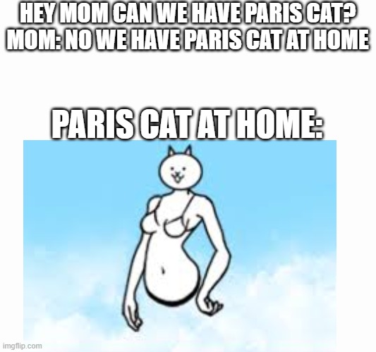 be like that |  HEY MOM CAN WE HAVE PARIS CAT?
MOM: NO WE HAVE PARIS CAT AT HOME; PARIS CAT AT HOME: | image tagged in blank screen | made w/ Imgflip meme maker