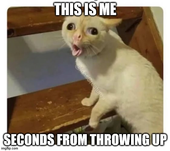 Coughing Cat | THIS IS ME; SECONDS FROM THROWING UP | image tagged in coughing cat | made w/ Imgflip meme maker