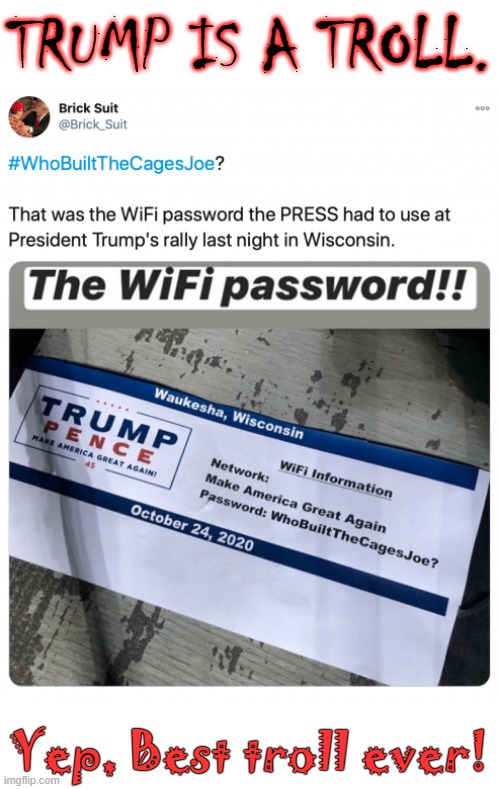 Who built the cages Joe? | TRUMP IS A TROLL. Yep, Best troll ever! | image tagged in trump,biden,cages | made w/ Imgflip meme maker