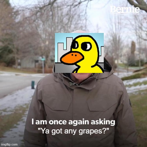 Bernie I Am Once Again Asking For Your Support | "Ya got any grapes?" | image tagged in memes,bernie i am once again asking for your support | made w/ Imgflip meme maker