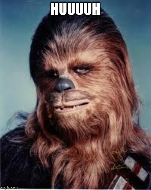 chewbacca | HUUUUH | image tagged in chewbacca | made w/ Imgflip meme maker