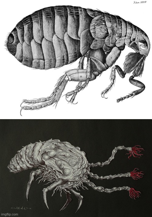 Tell me a flea and a flood infection form don’t look the same | image tagged in memes,halo,the flood,halo flood,fleas | made w/ Imgflip meme maker