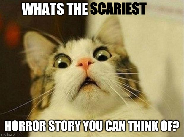 horror is my life, horror is my soul, horror is ME | SCARIEST; WHATS THE; HORROR STORY YOU CAN THINK OF? | image tagged in memes,scared cat | made w/ Imgflip meme maker