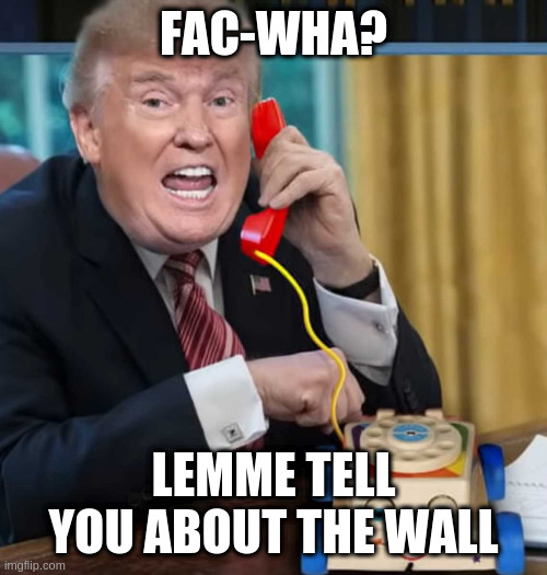 I'm the president | FAC-WHA? LEMME TELL YOU ABOUT THE WALL | image tagged in i'm the president | made w/ Imgflip meme maker