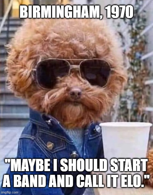 ELO | BIRMINGHAM, 1970; "MAYBE I SHOULD START A BAND AND CALL IT ELO." | image tagged in jeff lynne,elo,electric light orchestra,rock and roll | made w/ Imgflip meme maker