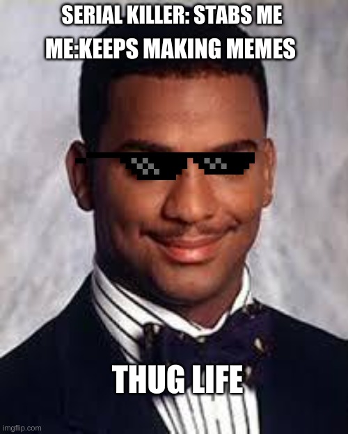 thug life boi | SERIAL KILLER: STABS ME; ME:KEEPS MAKING MEMES; THUG LIFE | image tagged in thug life | made w/ Imgflip meme maker