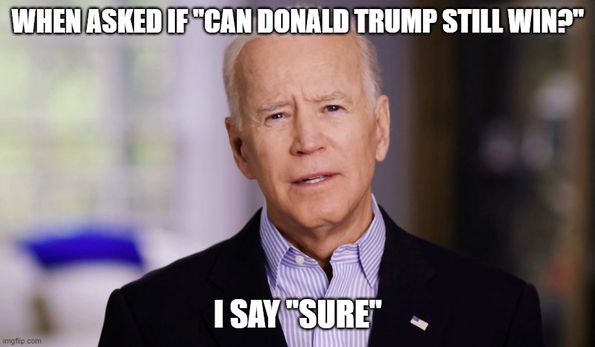 Joe Biden 2020 | WHEN ASKED IF "CAN DONALD TRUMP STILL WIN?"; I SAY "SURE" | image tagged in joe biden 2020 | made w/ Imgflip meme maker